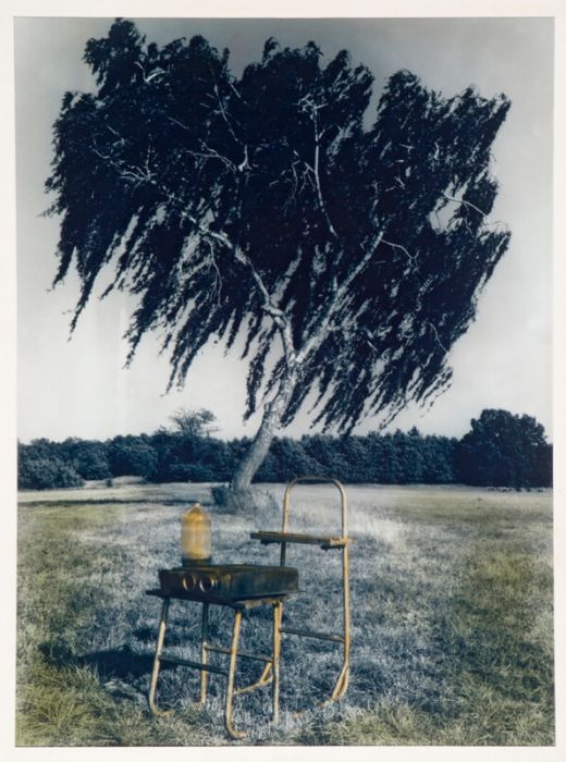 Land art projekt a Malom-gáton